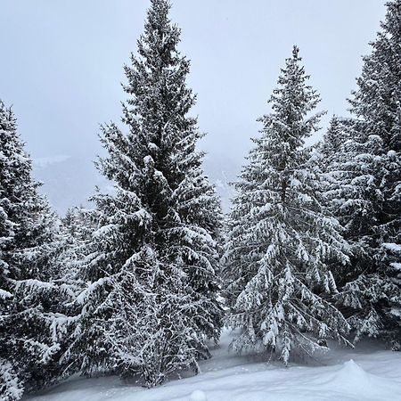 Bellavista Marilleva 1400 - Val Di Sole Lejlighed Eksteriør billede