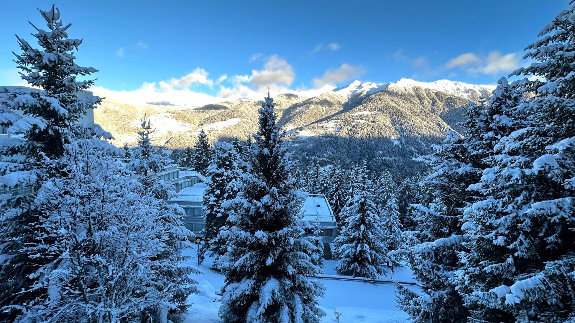 Bellavista Marilleva 1400 - Val Di Sole Lejlighed Eksteriør billede