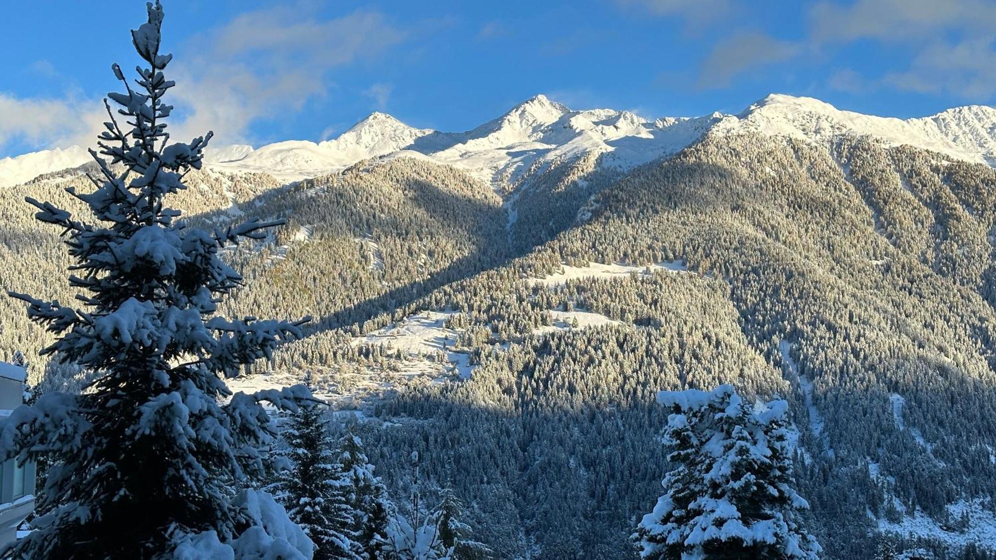 Bellavista Marilleva 1400 - Val Di Sole Lejlighed Eksteriør billede